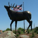 Elk City City Of (Inc) - Pest Control in Elk City
