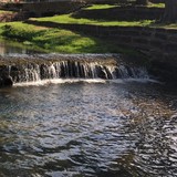 Tahlequah City Pound - Other in Tahlequah