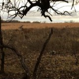 Central Law Office Pc - Other in Norman