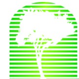 Tree Bank Foundation - Other in Edmond