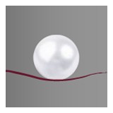 Skaggs William J DDS - Dentists in Norman