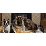 Imagine If Photography LLC - Other in Bethany