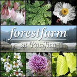 Forest Farm Nursery - Other in Williams