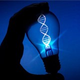 Dna Consulting - Business Consulting in Salem