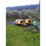 Bwk Tree Service LLC - Tree Services in Eugene