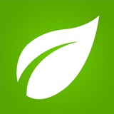 Inexpensive Tree Care - Tree Services in Portland