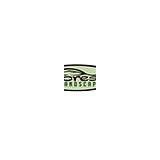 Forest Landscape - Landscape Architects in Cornelius
