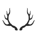 Joey Wood Antler Art LLC - Other in Powell Butte