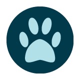 Portland Animal Clinic - Veterinarians/Vets in Portland