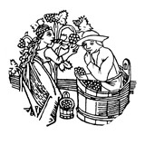 Soter Wines - Other in Carlton