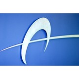 Acceleration Chiropractic - Chiropractors in Portland