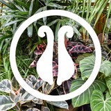 Pistils Landscape Design - Landscaping in Portland