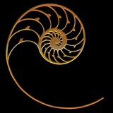 Cardas Audio Ltd - Other in Bandon