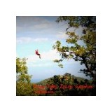 Rogue Valley ZipLine Adventure - Other in Gold Hill