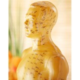 Toshio Acupuncture - Acupuncture in Portland