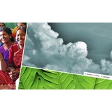 Half Sky Journeys - Travel Agents in Portland