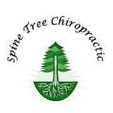 Spine Tree Chiropractic Center - Chiropractors in Portland