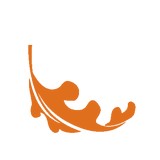 Autumn Leaf Landscaping - Landscape Architects in Aurora