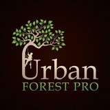 Urban Forest Professionals - Tree Services in Portland