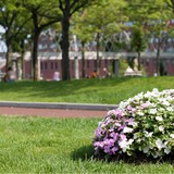 Green Hands Yard Maintenance - Lawn Services in Portland
