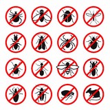 American Pest Management, Inc. - Pest Control in Eugene