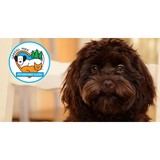 Gabriel Park Veterinary Clinic - Veterinarians/Vets in Portland