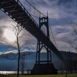 Gayla Patton - Publishing in Portland
