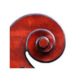 Hill Violin Shop - Other in Phoenix