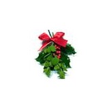 Mistletoe.com - Other in Woodburn