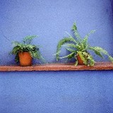 Carlos Landa Fine Art Photography (3rd Floor The Reed Opera House) - Wedding in Salem