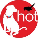 Hot Diggity Dog Walking And Pet Sitting Inc - Pet Stores in Portland