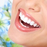Weissman Dental - Veterinarians/Vets in Portland