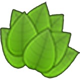 Great Yards - Landscaping in Salem