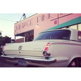 Modern Pink - Florists in Portland