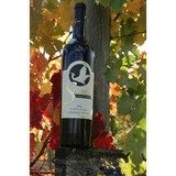 Spangler Vineyards - Other in Newberg