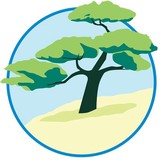 Arbor Shawn DC - Chiropractors in Eugene