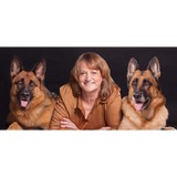 Cold Noses Warm Hearts Dog Training and A.A.T. - Pet/Animal Training in Portland