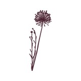 Bloom Hair Studio - Hair Salons in Eugene