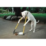 Doggie Doos And Donts - Pet Groomers in Springfield