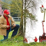 NW Arbor Culture INC - Tree Services in Portland