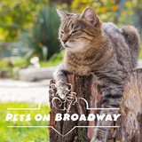 Pets On Broadway - Pet Stores in Portland