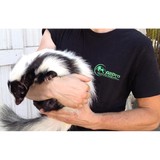 Allpro Wildlife Removal LLC - Pest Control in Tualatin