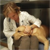 Animal Emergency Center - Veterinarians/Vets in Bend