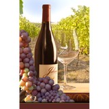 Johan Vineyards - Other in Rickreall