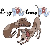 Lazy Dog Crazy Dog - Pet Services in Portland