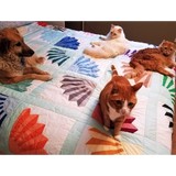 Whisker Wise Animal Care - Veterinarians/Vets in Portland