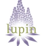 Lupin LLC - Business Consulting in Portland