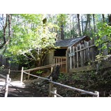 Oregon Vortex - Other in Gold Hill