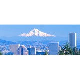 Virtue - Window Cleaning in Gresham