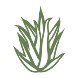 Classic Homeopath - Alternative Medicine in Hillsboro